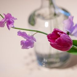 ザ ナンザンハウスの写真7枚目