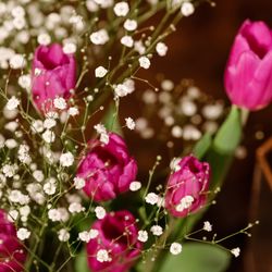 ザ ナンザンハウスの写真6枚目