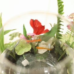 アーフェリーク迎賓館 熊本の写真33枚目