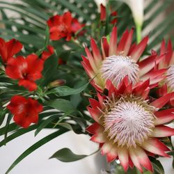 アーフェリーク迎賓館 熊本の写真36枚目