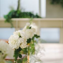 レストランひらまつ レゼルヴの写真2枚目