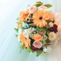 ルーキスの写真12枚目