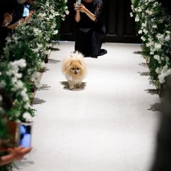 アーヴェリール迎賓館 名古屋の写真5枚目