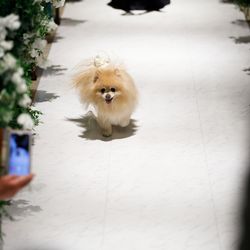 アーヴェリール迎賓館 名古屋の写真5枚目