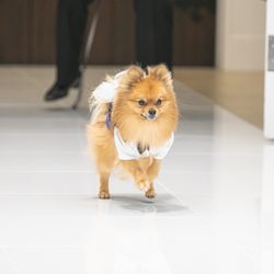 アルカンシエル ベリテ 大阪の写真4枚目