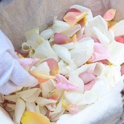 アルカンシエル ベリテ 大阪の写真10枚目