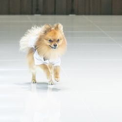 アルカンシエル ベリテ 大阪の写真24枚目