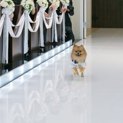 アルカンシエル ベリテ 大阪の写真28枚目