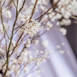 ウェスティンホテル東京の写真26枚目