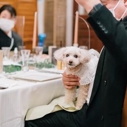 ルージュブランの写真6枚目