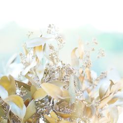 THE SORAKUEN の写真16枚目