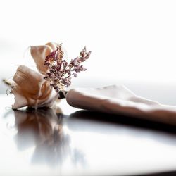 アマンダンブルー鎌倉の写真12枚目