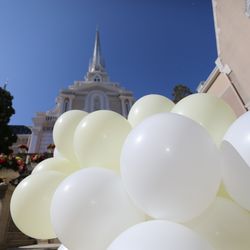 エスプリ・ド・ナチュールの写真5枚目