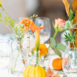 メゾン・ド・タカ 芦屋の写真7枚目