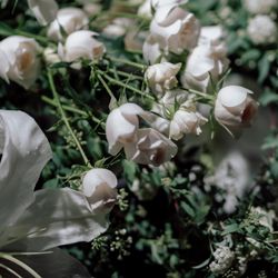 グランド ハイアット 東京の写真16枚目