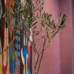 The Place of Tokyoの写真4枚目