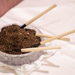 The Place of Tokyoの写真5枚目