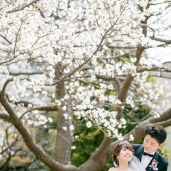 シェラトン・グランデ・トーキョーベイ・ホテルの写真19枚目