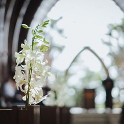 シェラトン・グランデ・トーキョーベイ・ホテルの写真23枚目