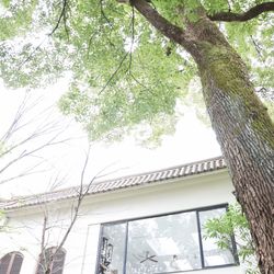 ザ ナンザンハウスの写真8枚目