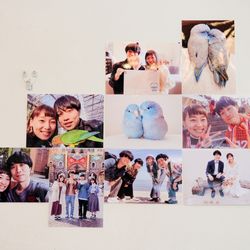 ザ ナンザンハウスの写真12枚目