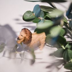 ザ ナンザンハウスの写真32枚目