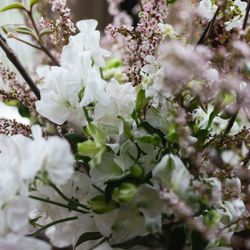 レストラン マダム・トキの写真32枚目