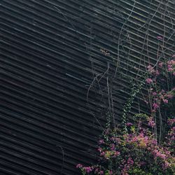 ウィズザスタイルフクオカ の写真35枚目