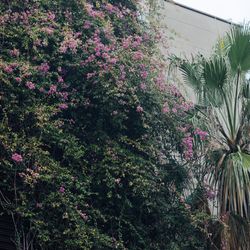 ウィズザスタイルフクオカ の写真5枚目