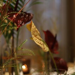 TRUNK HOTELの写真3枚目