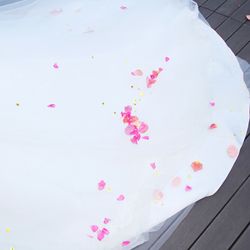 アクアガーデン迎賓館 岡崎の写真3枚目