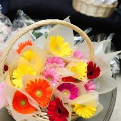 グラストニアの写真18枚目