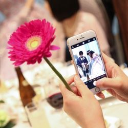 グラストニアの写真21枚目