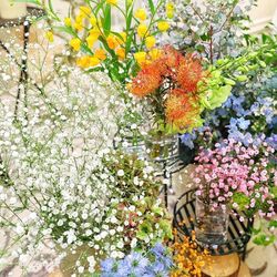 百花籠の写真7枚目