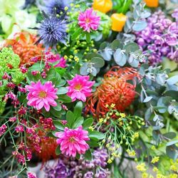 百花籠の写真16枚目