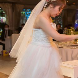 東南植物楽園の写真23枚目