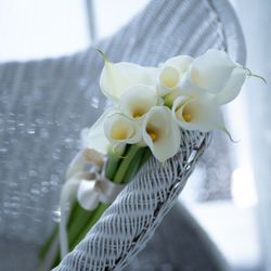 SOLA KOBEの写真26枚目