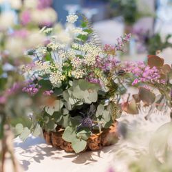 アネーリ軽井沢の写真26枚目