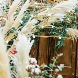 オランジュベールの写真22枚目