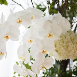 パレスホテル東京の写真2枚目