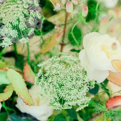 THE SORAKUEN の写真7枚目