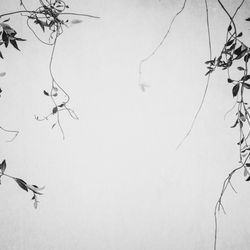 THE SORAKUEN の写真13枚目