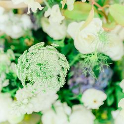 THE SORAKUEN の写真34枚目