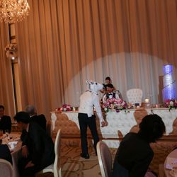 ザ・ロイヤルクラシック福岡の写真28枚目