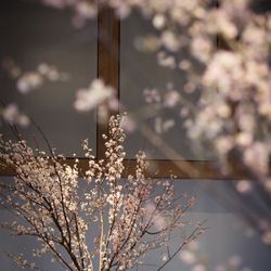 アンダーズ東京の写真23枚目