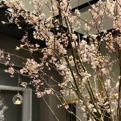 アンダーズ東京の写真20枚目