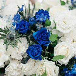 青山セントグレース大聖堂の写真24枚目