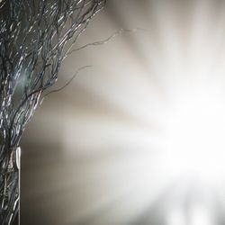 グランド ハイアット 東京の写真33枚目