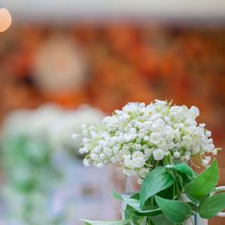 The Place of Tokyoの写真36枚目