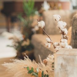 鶴見ノ森 迎賓館の写真27枚目